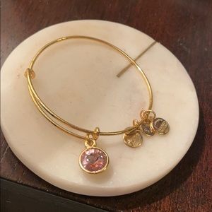 Alex & Ani charm bracelet